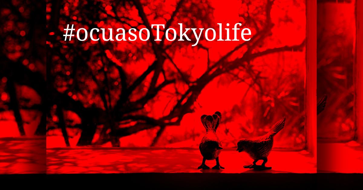 Chiến dịch ô cửa sổ Tokyolife