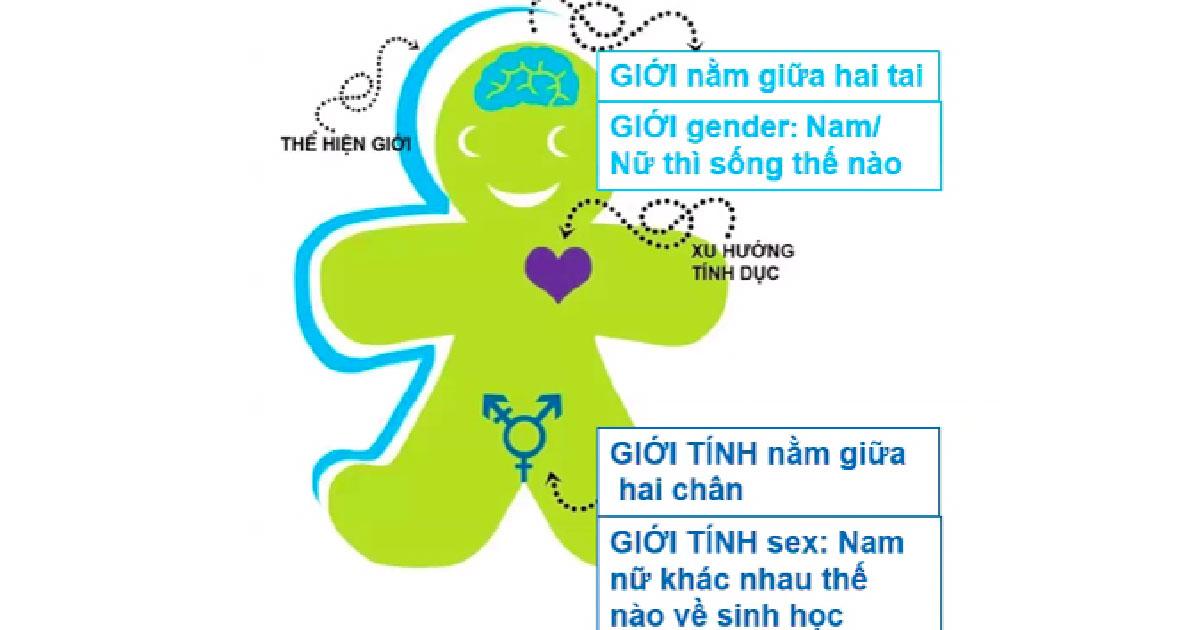 Gender & Neurosexism - Định kiến giới dưới góc nhìn khoa học thần kinh