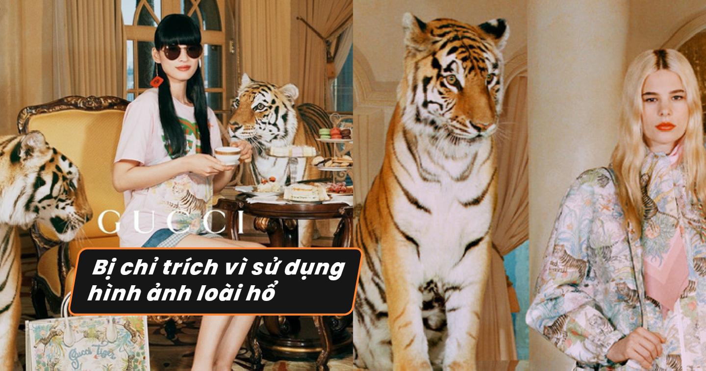 Gucci bị chỉ trích vì sử dụng hình ảnh loài hổ như phụ kiện cao cấp trong chiến dịch mới