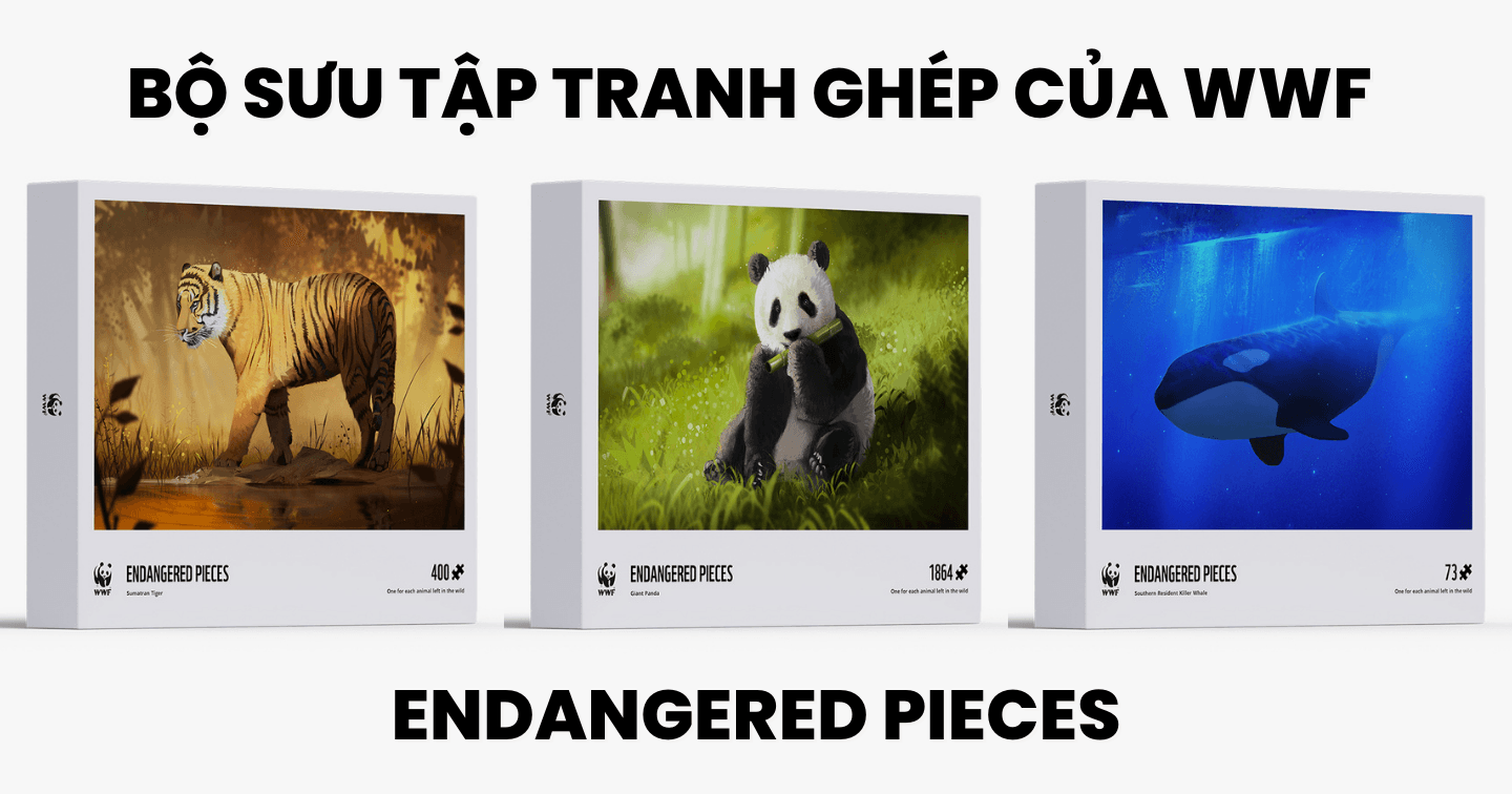 Số mảnh ghép của mỗi bộ tranh chính là số lượng cá thể hiếm hoi còn lại trong tự nhiên  