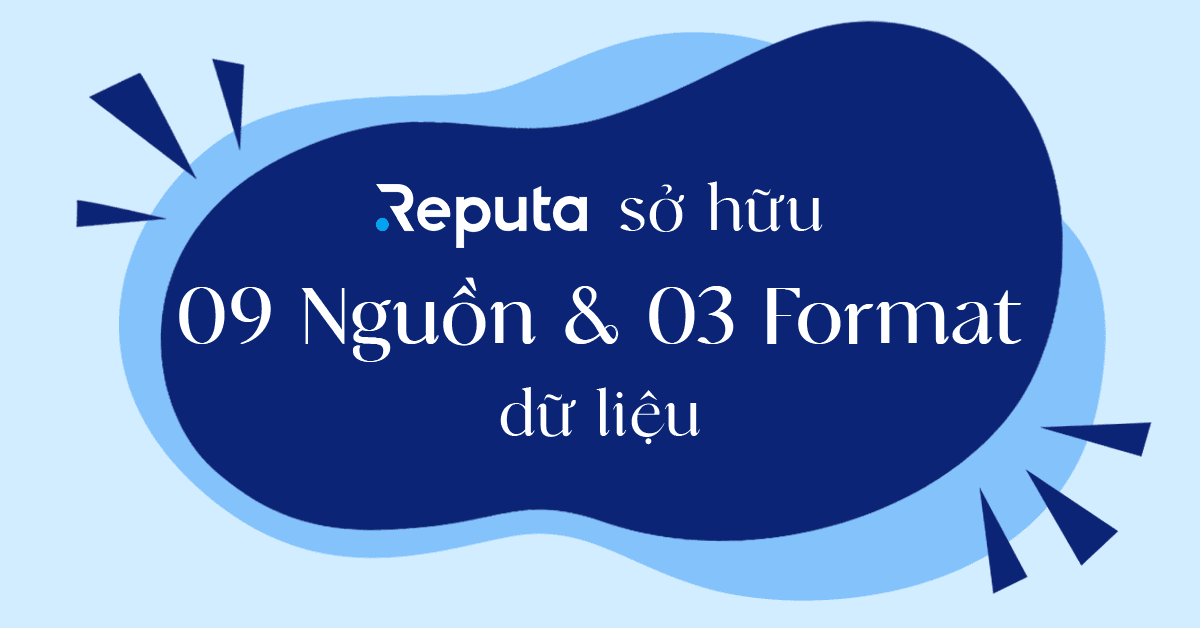 Reputa sở hữu 09 nguồn dữ liệu được thể hiện dưới 03 format phổ biến nhất hiện nay