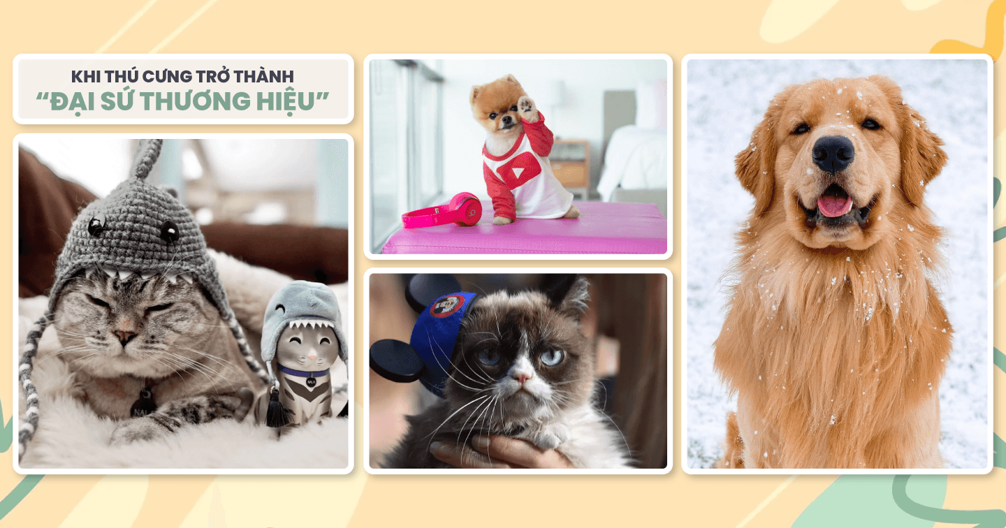 Sự bùng nổ của Pet Influencer: Bài học từ những chiến dịch marketing dựa trên thú cưng nổi tiếng từ Mercedes, The Body Shop và các thương hiệu lớn 
