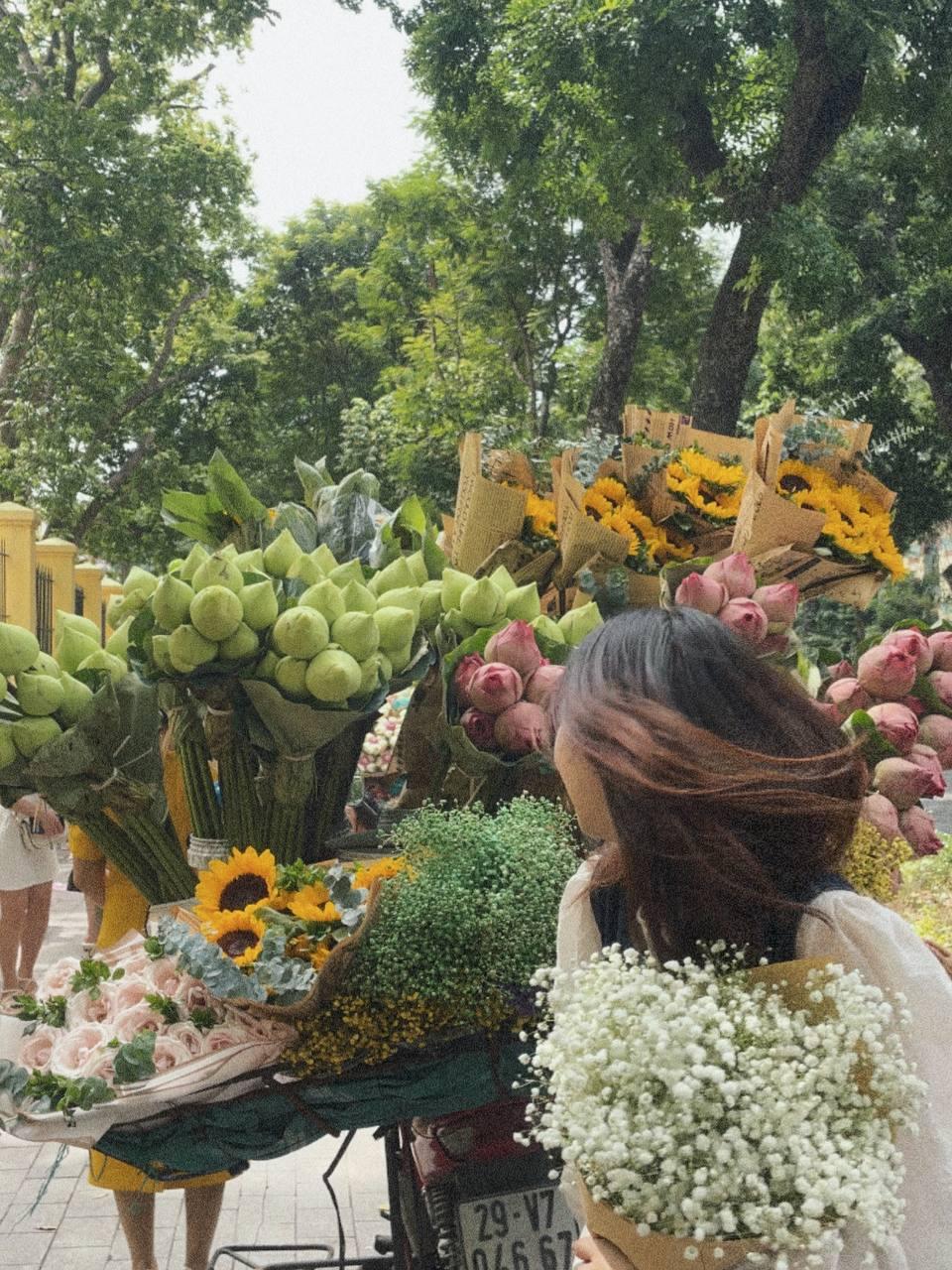 Hạ Linh