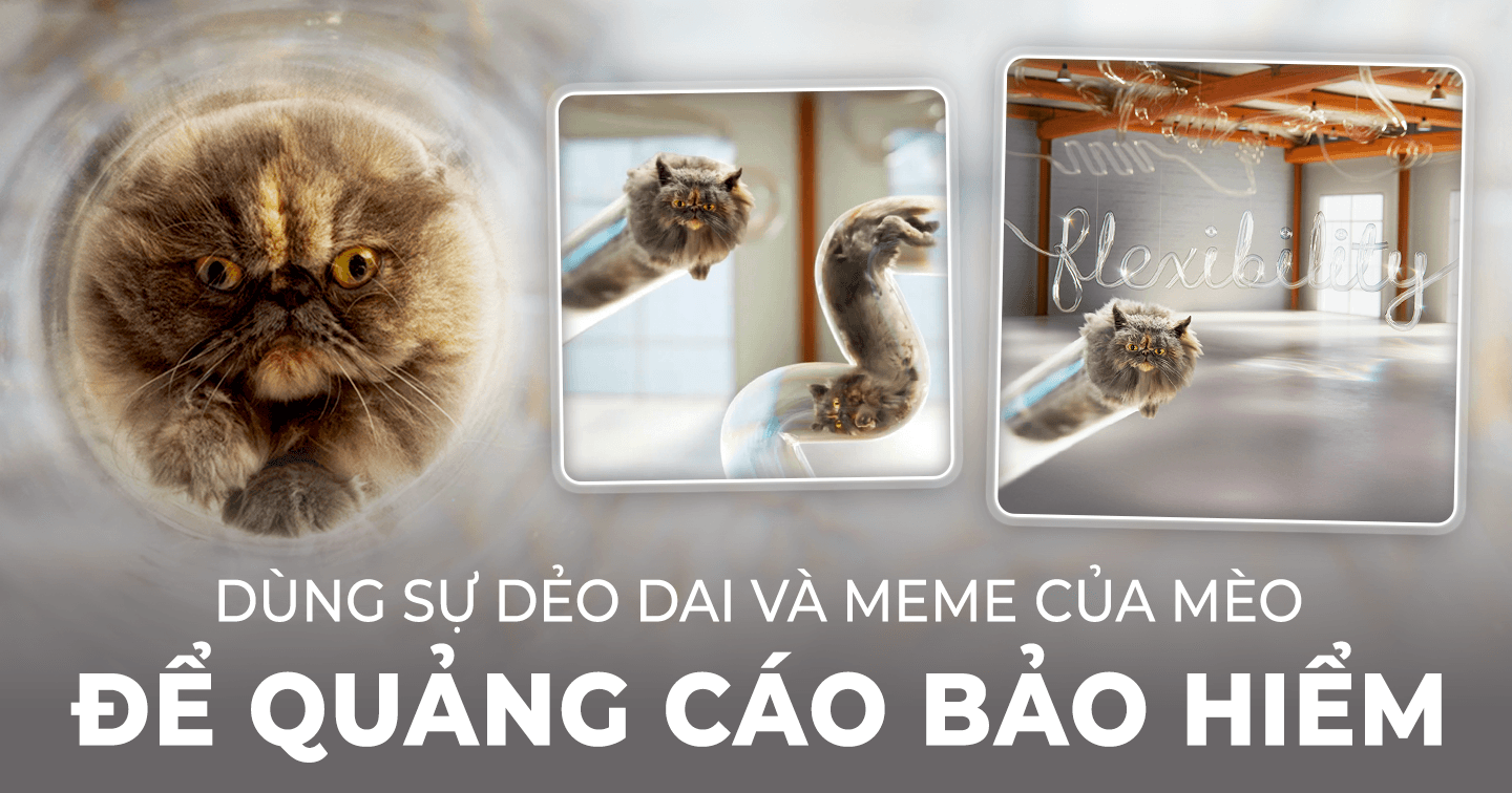 Income Insurance khai thác hình ảnh Mèo để quảng bá sự linh hoạt của bảo hiểm Investment-Linked Plans