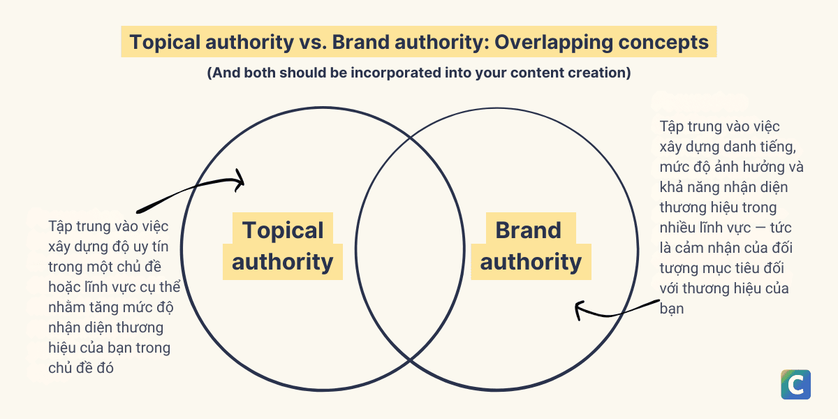 Brand Authority là gì? Cách đo lường Brand Authority