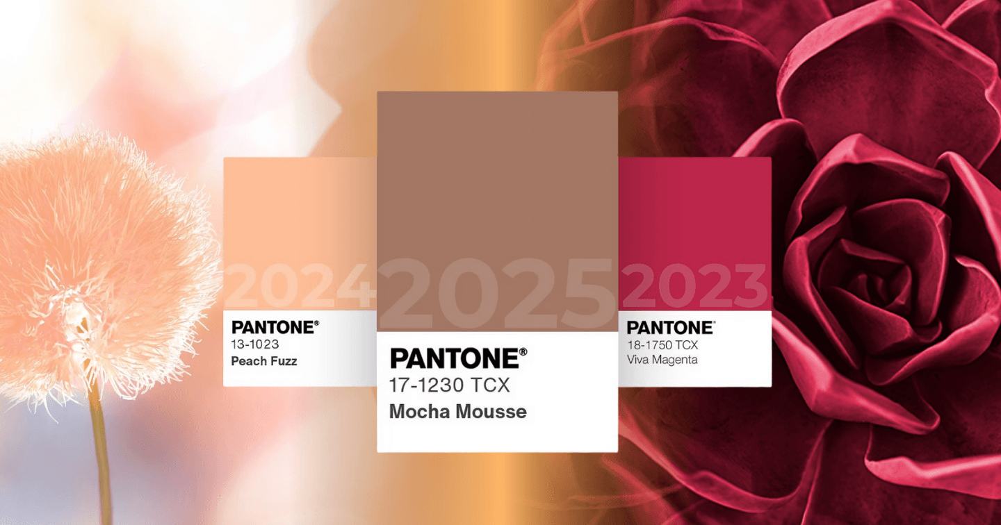 Từ bảng màu đến biểu tượng văn hoá: Cách Pantone biến sự nhất quán thành thương hiệu toàn cầu