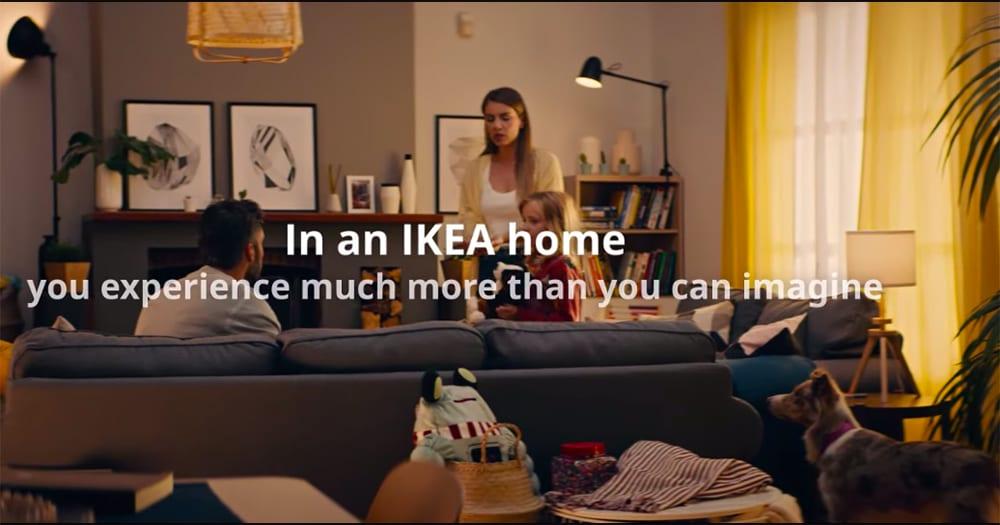 Quảng cáo mới của IKEA kể câu chuyện cảm động về những chú chó mồ côi