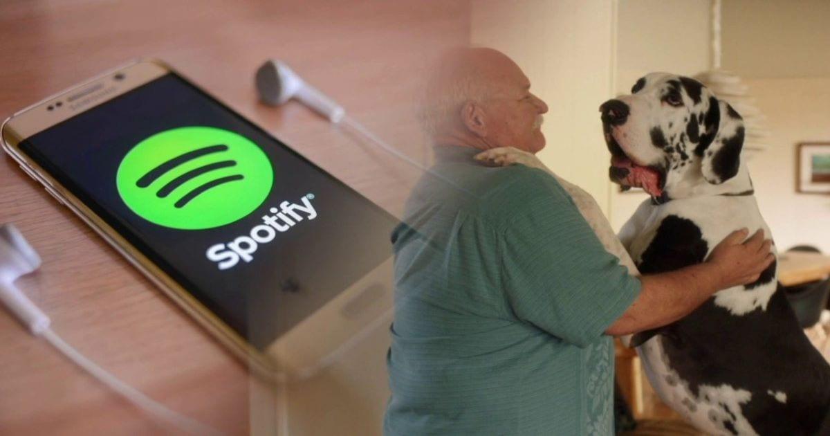 Vượt mặt Apple Music, Spotify ra mắt dịch vụ nghe nhạc cho thú cưng