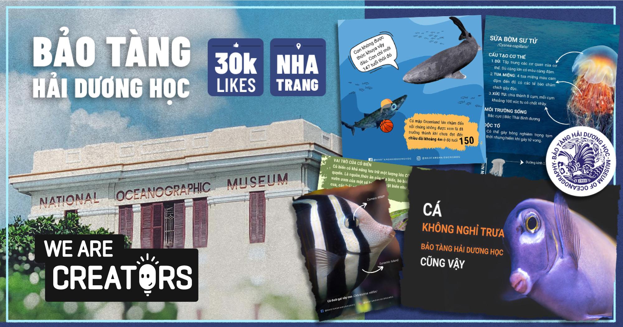 Khi các nhà khoa học U40 làm creator: Ngày bảo vệ sinh vật biển, tối nghĩ ý tưởng viral