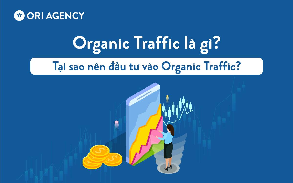 Organic traffic là gì? Vai trò của lượt truy cập tự nhiên trong seo và marketing