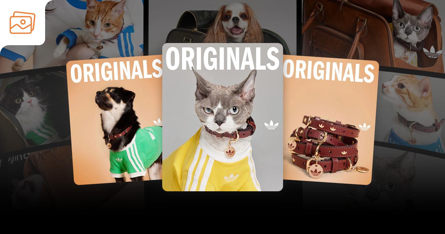 adidas Originals “bắt trend” pet fashion: Thời trang thú cưng lên ngôi tại thị trường Trung Quốc