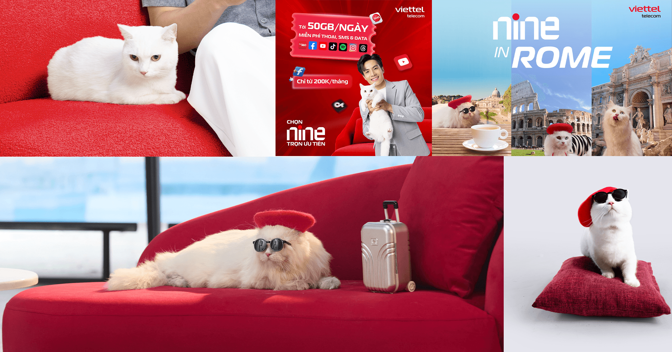 Từ telco đến lifestyle: Case study chiến dịch “mèo sang chảnh” của Viettel NINE